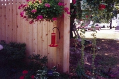 Cedar Wood 506