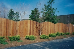Cedar Wood 520