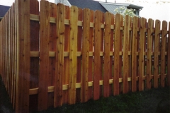 Cedar Wood 505