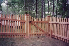 Cedar Wood 529