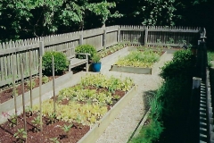Cedar Wood 509
