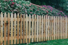Cedar Wood 530